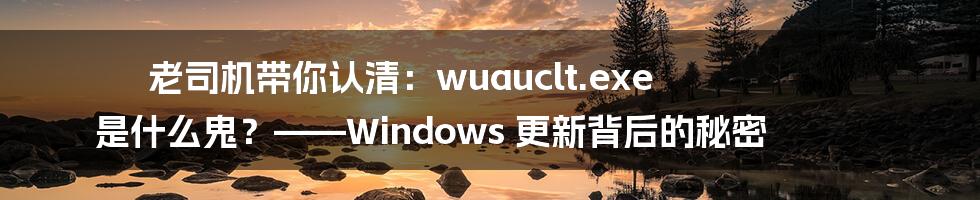 老司机带你认清:wuauclt.exe 是什么鬼?——Windows 更新背后的秘密