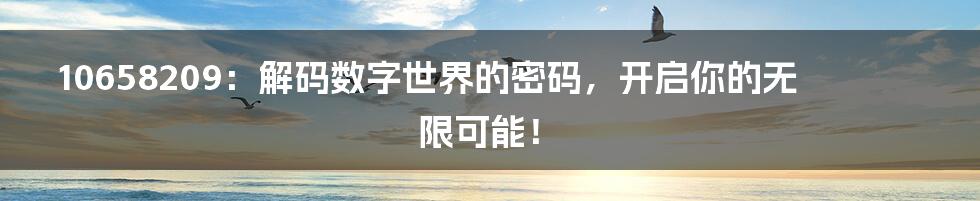 10658209：解码数字世界的密码，开启你的无限可能！