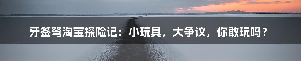 牙签弩淘宝探险记：小玩具，大争议，你敢玩吗？