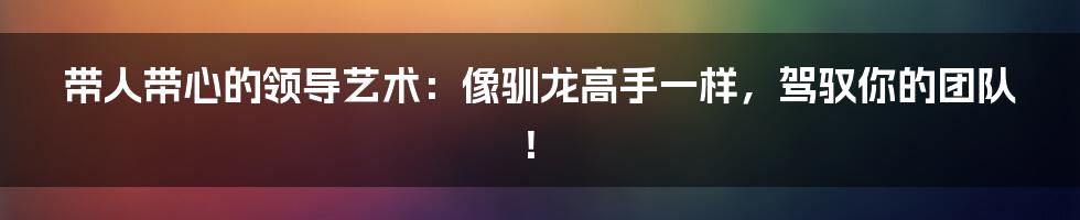 带人带心的领导艺术:像驯龙高手一样,驾驭你的团队!