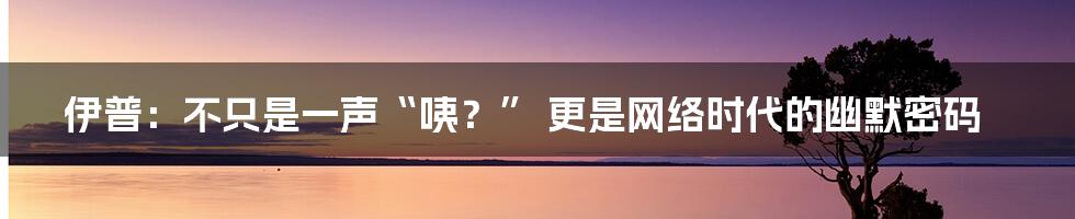 伊普:不只是一声“咦?” 更是网络时代的幽默密码