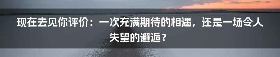现在去见你评价：一次充满期待的相遇，还是一场令人失望的邂逅？