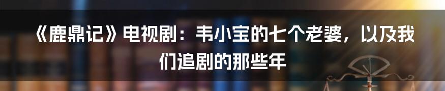 《鹿鼎记》电视剧：韦小宝的七个老婆，以及我们追剧的那些年