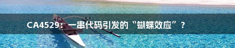 CA4529:一串代码引发的“蝴蝶效应”?