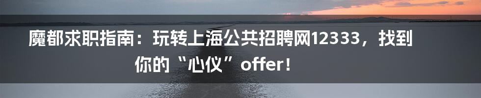 魔都求职指南:玩转上海公共招聘网12333,找到你的“心仪”offer!