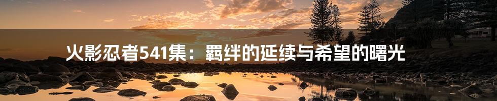火影忍者541集：羁绊的延续与希望的曙光