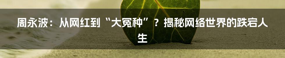 周永波：从网红到“大冤种”？揭秘网络世界的跌宕人生
