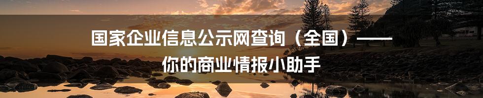国家企业信息公示网查询(全国)—— 你的商业情报小助手