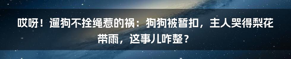 哎呀！遛狗不拴绳惹的祸：狗狗被暂扣，主人哭得梨花带雨，这事儿咋整？