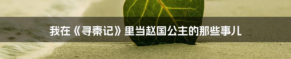我在《寻秦记》里当赵国公主的那些事儿