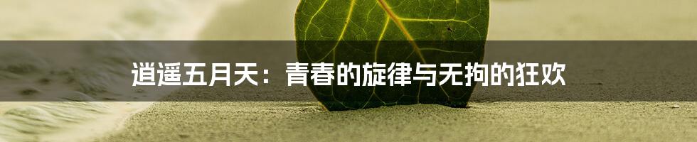 逍遥五月天：青春的旋律与无拘的狂欢