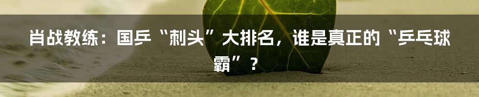 肖战教练：国乒“刺头”大排名，谁是真正的“乒乓球霸”？