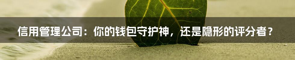 信用管理公司:你的钱包守护神,还是隐形的评分者?