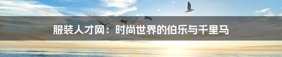 服装人才网：时尚世界的伯乐与千里马
