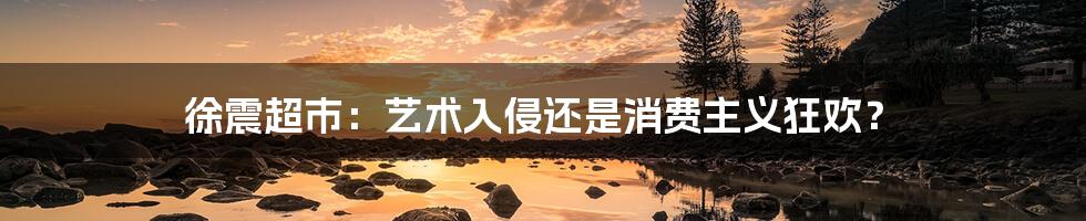 徐震超市:艺术入侵还是消费主义狂欢?