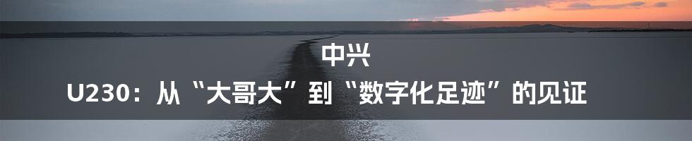中兴 U230:从“大哥大”到“数字化足迹”的见证