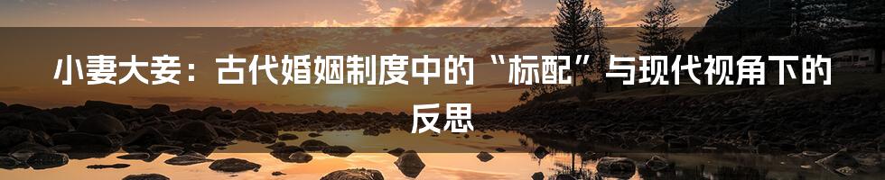 小妻大妾:古代婚姻制度中的“标配”与现代视角下的反思