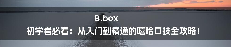 B.box 初学者必看：从入门到精通的嘻哈口技全攻略！