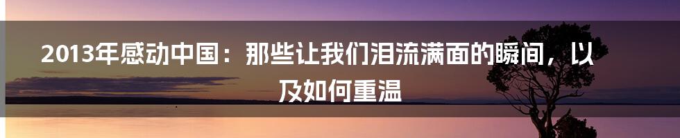 2013年感动中国：那些让我们泪流满面的瞬间，以及如何重温