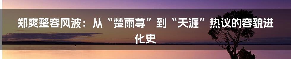 郑爽整容风波:从“楚雨荨”到“天涯”热议的容貌进化史