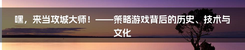 嘿，来当攻城大师！——策略游戏背后的历史、技术与文化