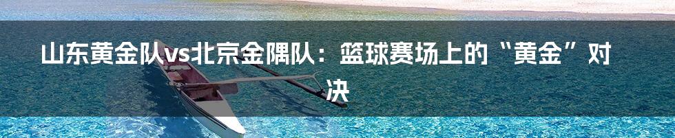 山东黄金队vs北京金隅队：篮球赛场上的“黄金”对决