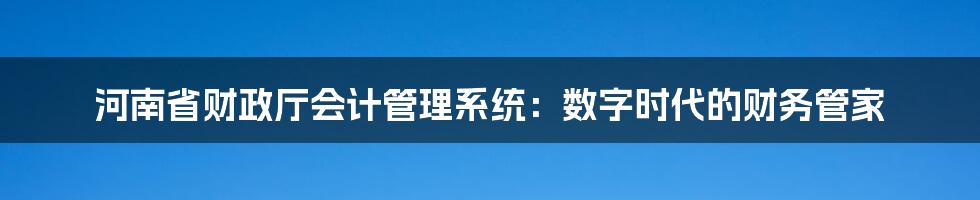 河南省财政厅会计管理系统：数字时代的财务管家