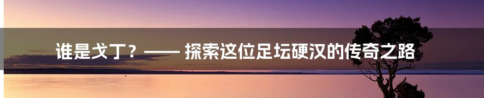 谁是戈丁?—— 探索这位足坛硬汉的传奇之路