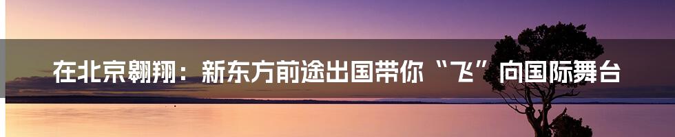 在北京翱翔：新东方前途出国带你“飞”向国际舞台