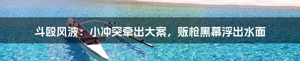 斗殴风波:小冲突牵出大案,贩枪黑幕浮出水面