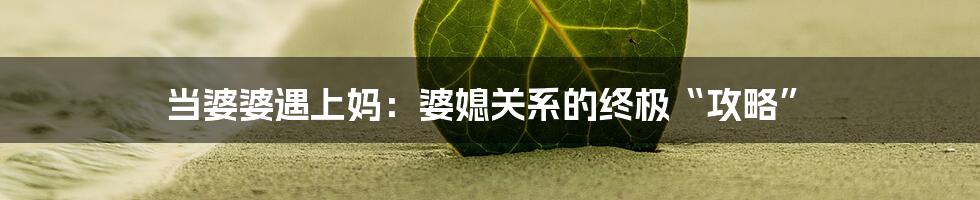 当婆婆遇上妈:婆媳关系的终极“攻略”
