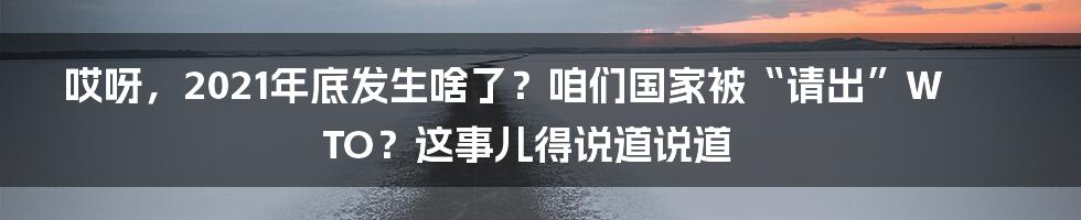 哎呀,2021年底发生啥了?咱们国家被“请出”WTO?这事儿得说道说道