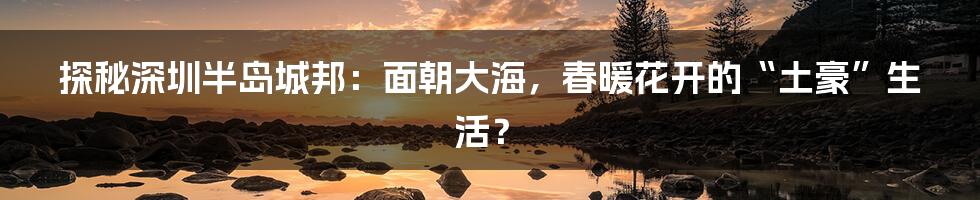 探秘深圳半岛城邦:面朝大海,春暖花开的“土豪”生活?