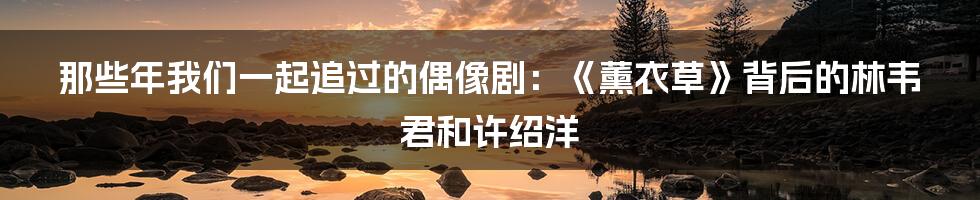 那些年我们一起追过的偶像剧：《薰衣草》背后的林韦君和许绍洋