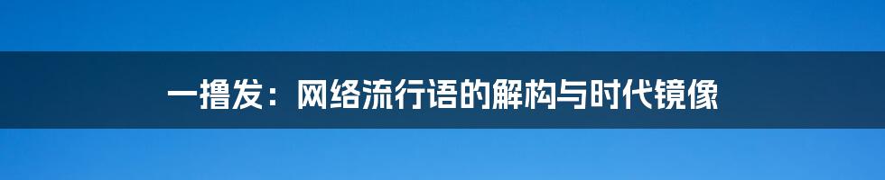 一撸发：网络流行语的解构与时代镜像