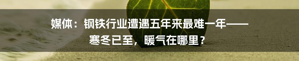 媒体:钢铁行业遭遇五年来最难一年—— 寒冬已至,暖气在哪里?