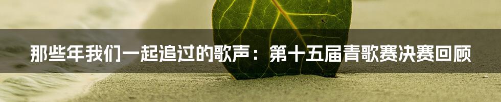 那些年我们一起追过的歌声：第十五届青歌赛决赛回顾