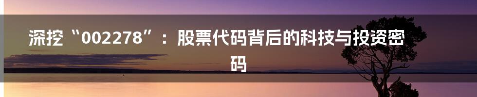 深挖“002278”:股票代码背后的科技与投资密码
