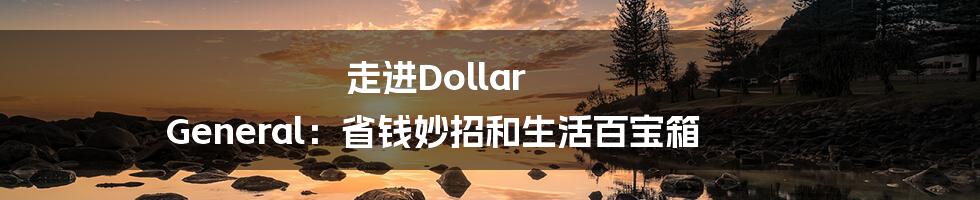走进Dollar General：省钱妙招和生活百宝箱