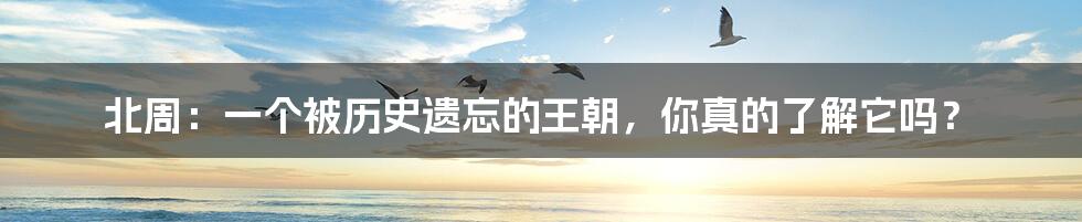 北周：一个被历史遗忘的王朝，你真的了解它吗？
