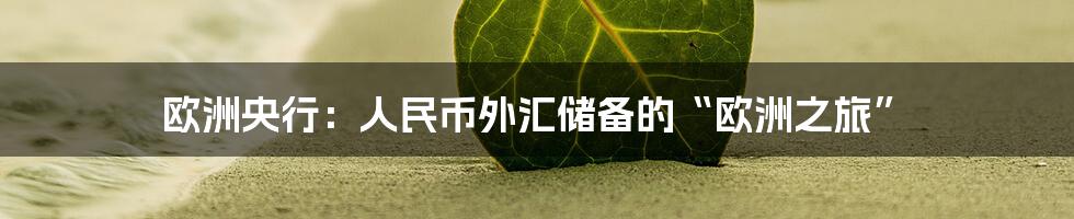 欧洲央行:人民币外汇储备的“欧洲之旅”