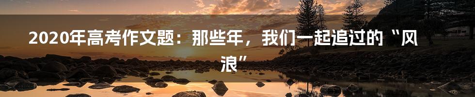 2020年高考作文题:那些年,我们一起追过的“风浪”