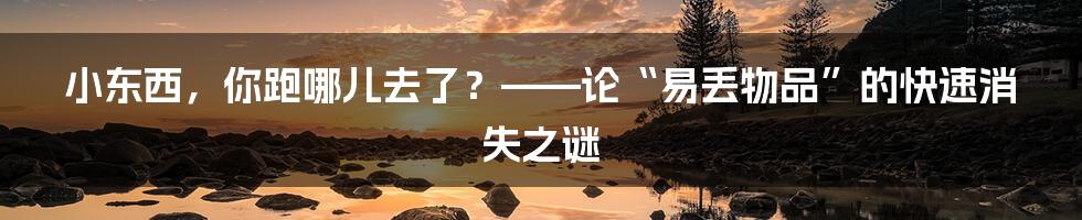 小东西,你跑哪儿去了?——论“易丢物品”的快速消失之谜