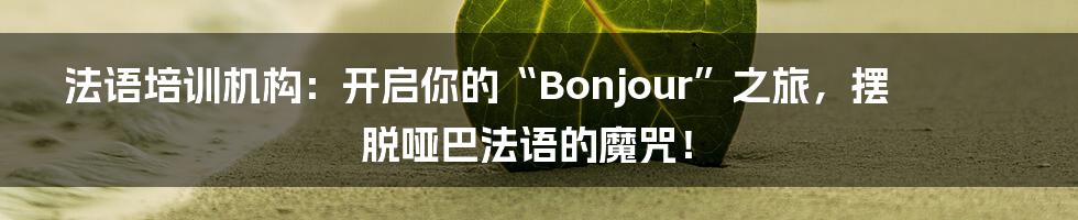 法语培训机构：开启你的“Bonjour”之旅，摆脱哑巴法语的魔咒！