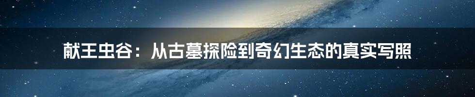 献王虫谷：从古墓探险到奇幻生态的真实写照