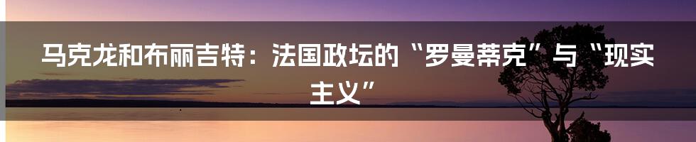 马克龙和布丽吉特：法国政坛的“罗曼蒂克”与“现实主义”