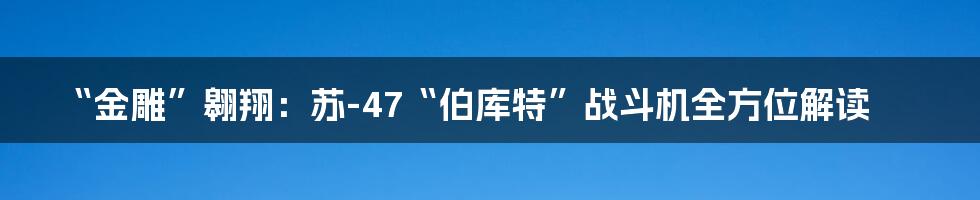 “金雕”翱翔：苏-47“伯库特”战斗机全方位解读