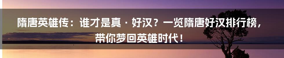 隋唐英雄传：谁才是真·好汉？一览隋唐好汉排行榜，带你梦回英雄时代！