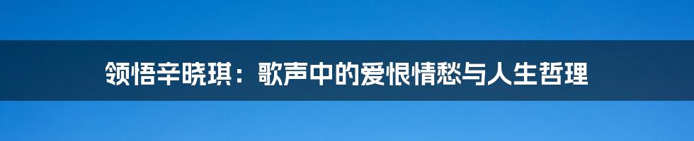 领悟辛晓琪：歌声中的爱恨情愁与人生哲理