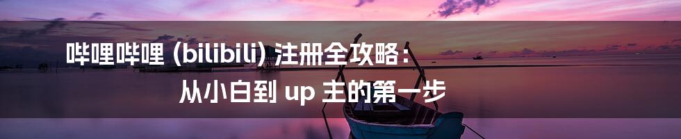 哔哩哔哩 (bilibili) 注册全攻略： 从小白到 up 主的第一步